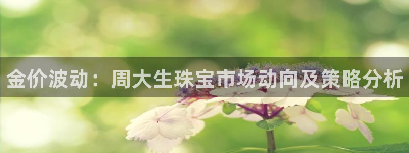 新宝5是谁的