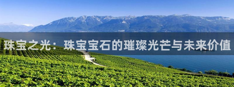 新宝5娱乐经