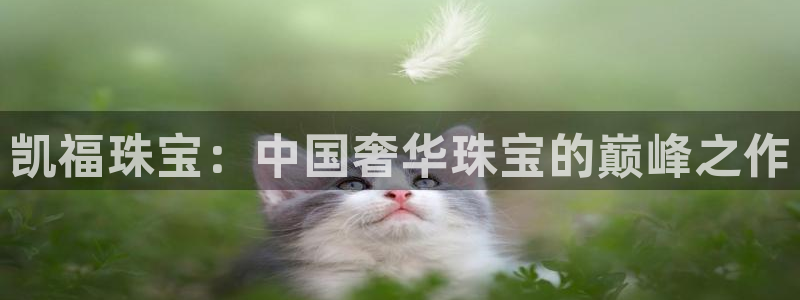 新宝5现在还能玩吗