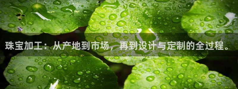 新宝6霸哥5