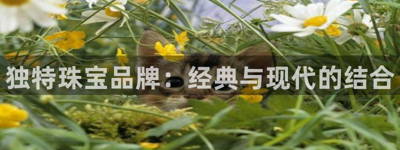 新宝5注册平台