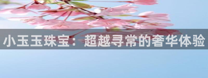 新宝5在哪里