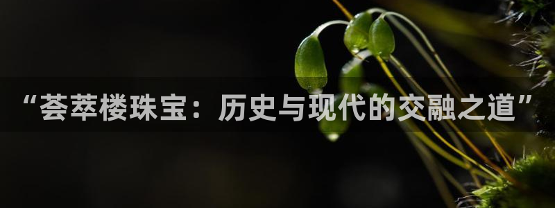 新宝5娱乐手机登录