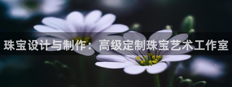 新宝b2O5O5O：珠宝设计与制作：高级定制珠宝艺术工作室