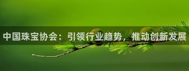 新宝5下载注册：中国珠宝协会：引领行业趋势，推动创新发展