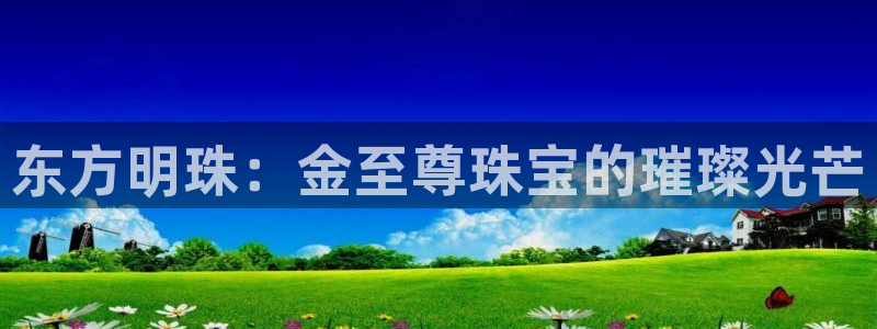 新宝j2O5O5O：东方明珠：金至尊珠宝的璀璨光芒