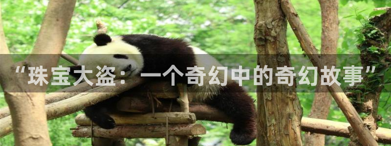 新宝5注册：“珠宝大盗：一个奇幻中的奇幻故事”