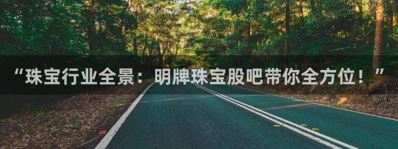 新宝5在哪里：“珠宝行业全景：明牌珠宝股吧带你全方位！”