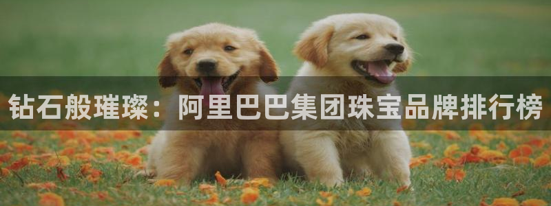 新宝5手机登录：钻石般璀璨：阿里巴巴集团珠宝品牌排行榜