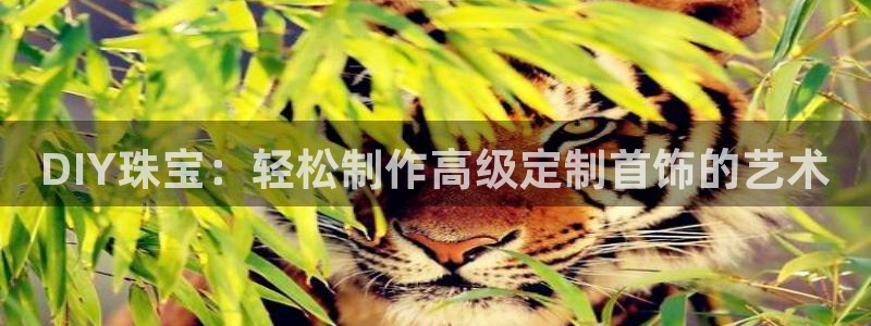 新宝5注册测速登录：DIY珠宝：轻松制作高级定制首饰的艺术