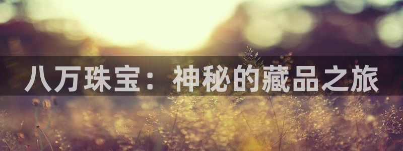 p5r新宝魔：八万珠宝：神秘的藏品之旅