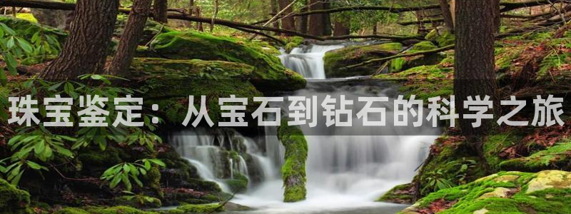 新宝5账号注册：珠宝鉴定：从宝石到钻石的科学之旅