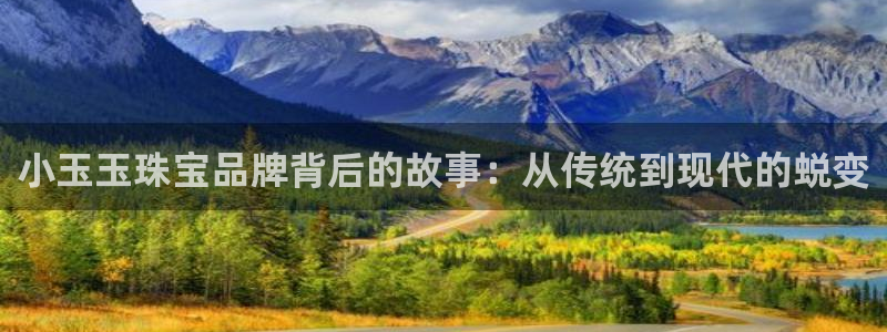新宝速5：小玉玉珠宝品牌背后的故事：从传统到现代的蜕变