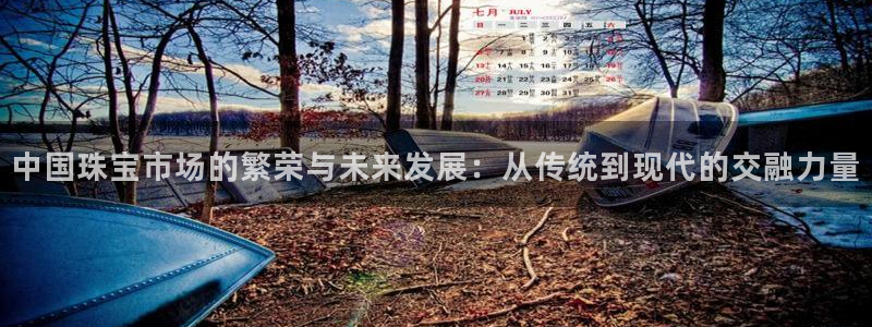 新宝5娱乐方：中国珠宝市场的繁荣与未来发展：从传统到现代的交融力量