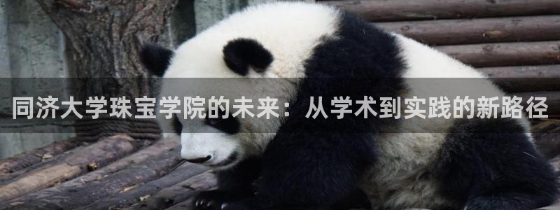 新宝5测速平台登录：同济大学珠宝学院的未来：从学术到实践的新路径