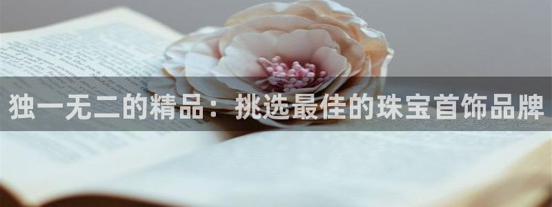 新宝5骗术：独一无二的精品：挑选最佳的珠宝首饰品牌