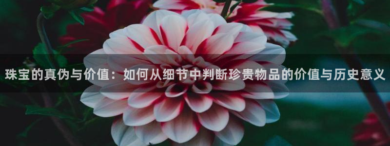 新宝5平棋牌：珠宝的真伪与价值：如何从细节中判断珍贵物品的价值与历史意义