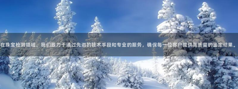 新宝股东王听2 5 5：在珠宝检测领域，我们致力于通过先进的技术手段和专业的服务