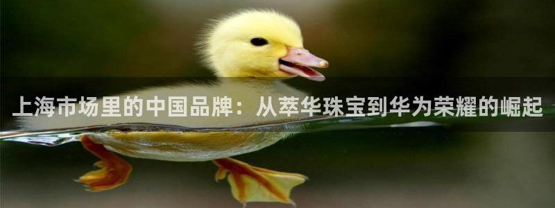 新宝5登录注册：上海市场里的中国品牌：从萃华珠宝到华为荣耀的崛起