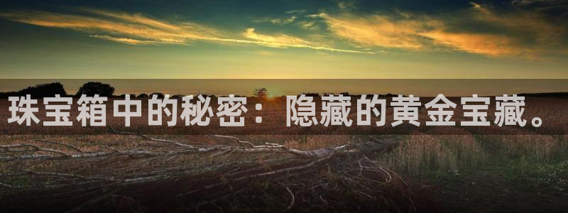 新宝5电脑：珠宝箱中的秘密：隐藏的黄金宝藏。