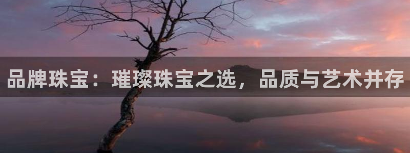 新宝5郑74OOO5：品牌珠宝：璀璨珠宝之选，品质与艺术并存