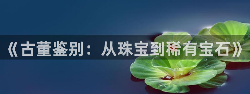 新宝5分彩：《古董鉴别：从珠宝到稀有宝石》