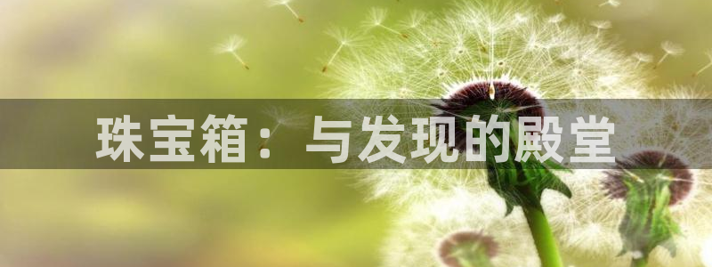 新宝5测速下载：珠宝箱：与发现的殿堂