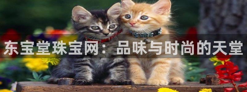 新宝5 测速：东宝堂珠宝网：品味与时尚的天堂