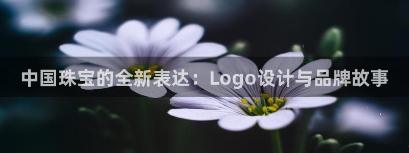新宝5下载测试：中国珠宝的全新表达：Logo设计与品牌故事
