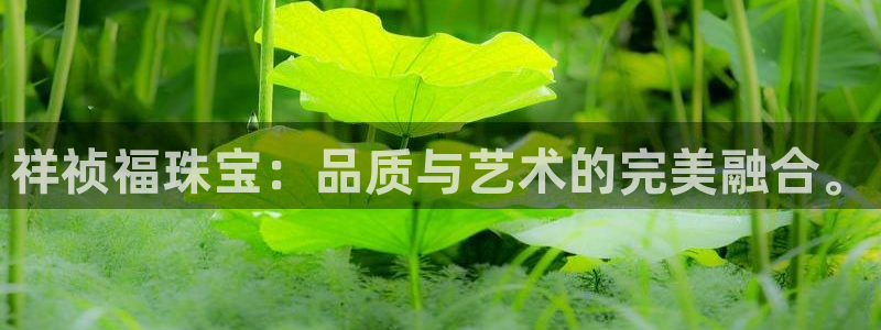 新宝5日740005蔻：祥祯福珠宝：品质与艺术的完美融合。