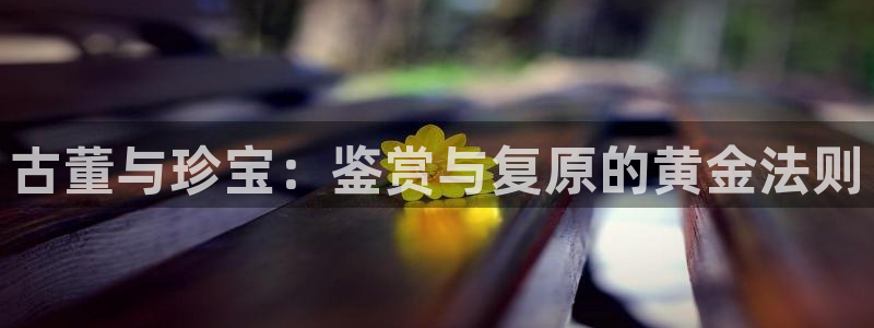 新宝奇迹GG5：古董与珍宝：鉴赏与复原的黄金法则