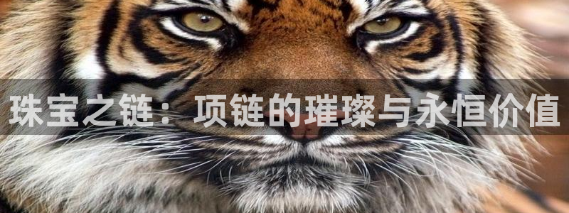 新宝5月：珠宝之链：项链的璀璨与永恒价值