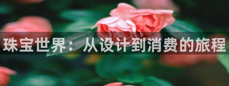 新宝骏rc5W：珠宝世界：从设计到消费的旅程