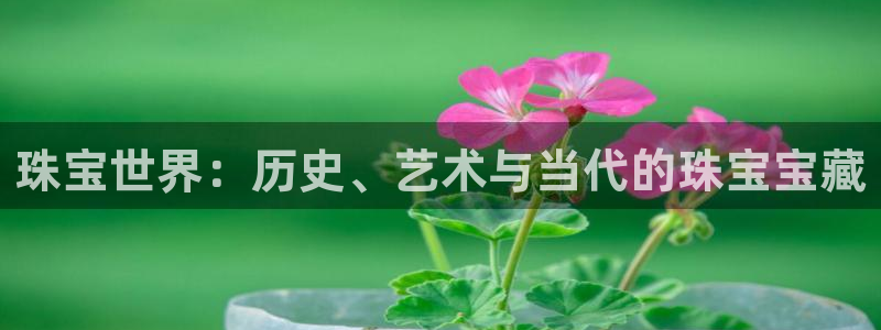 新宝5入口：珠宝世界：历史、艺术与当代的珠宝宝藏