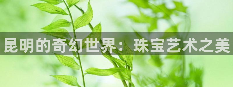 新宝5登录地址：昆明的奇幻世界：珠宝艺术之美