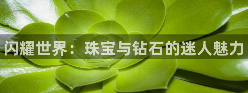 新宝5注册流程：闪耀世界：珠宝与钻石的迷人魅力