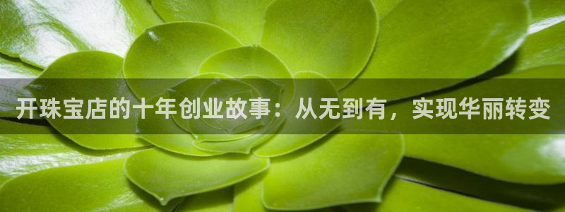 新宝5是什么：开珠宝店的十年创业故事：从无到有，实现华丽转变