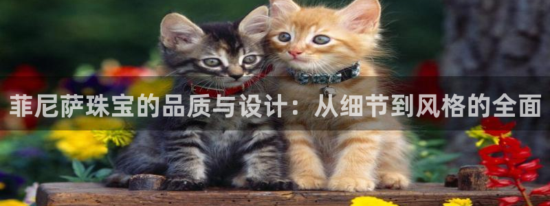 新5宝：菲尼萨珠宝的品质与设计：从细节到风格的全面