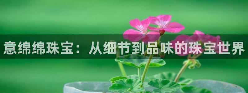 新宝5尤74OOO5：意绵绵珠宝：从细节到品味的珠宝世界