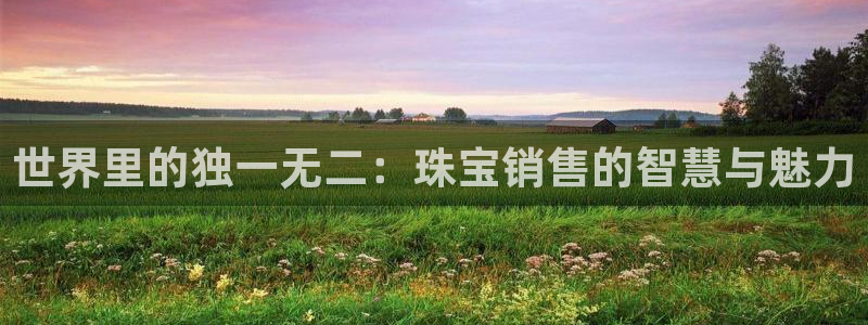 新宝5娱乐登陆：世界里的独一无二：珠宝销售的智慧与魅力