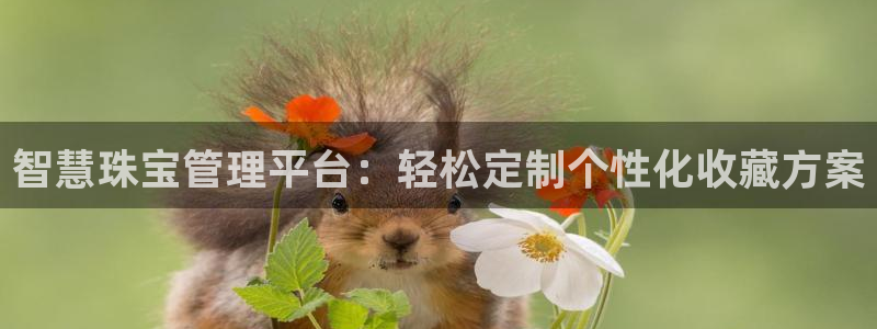 新宝5入口：智慧珠宝管理平台：轻松定制个性化收藏方案