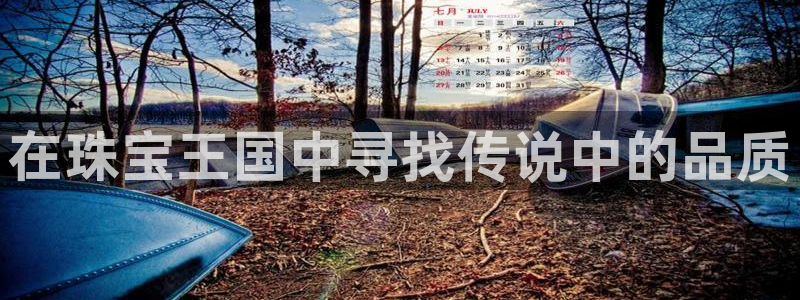 新宝5入口：在珠宝王国中寻找传说中的品质