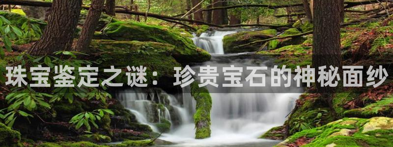 新宝5平台登录注册：珠宝鉴定之谜：珍贵宝石的神秘面纱