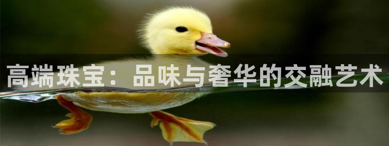 新宝5平台登录下载软件：高端珠宝：品味与奢华的交融艺术