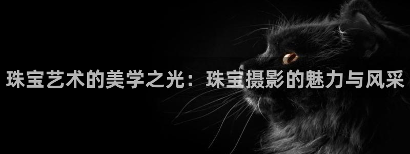 新宝5是什么样子的：珠宝艺术的美学之光：珠宝摄影的魅力与风采