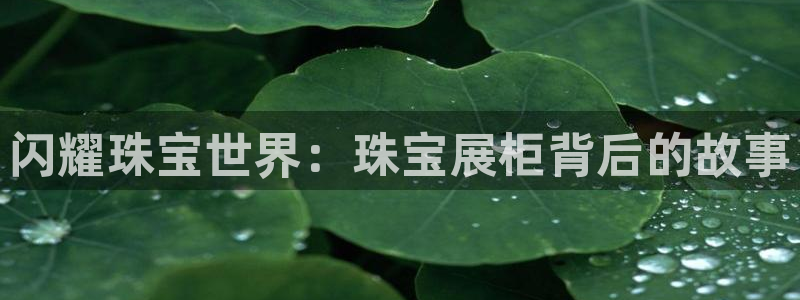 新宝5平台咋样：闪耀珠宝世界：珠宝展柜背后的故事