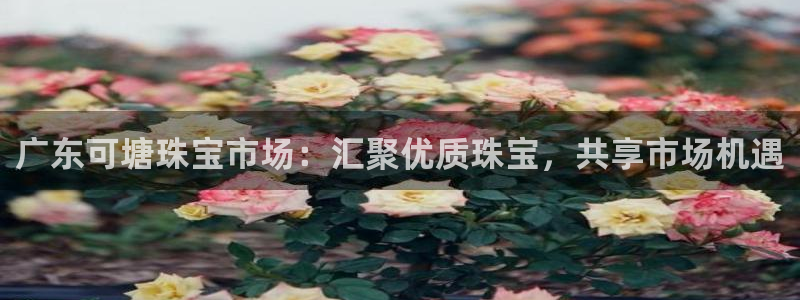 新宝5蒋74OOO5：广东可塘珠宝市场：汇聚优质珠宝，共享市场机遇