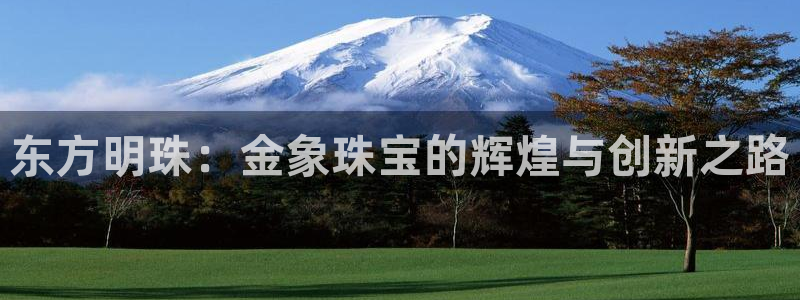 新宝5五：东方明珠：金象珠宝的辉煌与创新之路