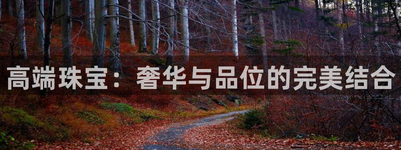 新宝5测速下载：高端珠宝：奢华与品位的完美结合