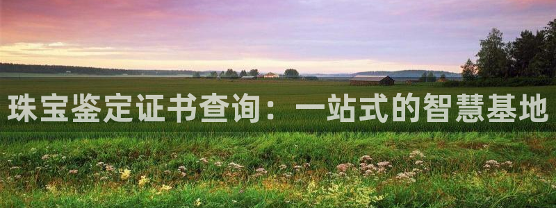 p5r新宝魔：珠宝鉴定证书查询：一站式的智慧基地